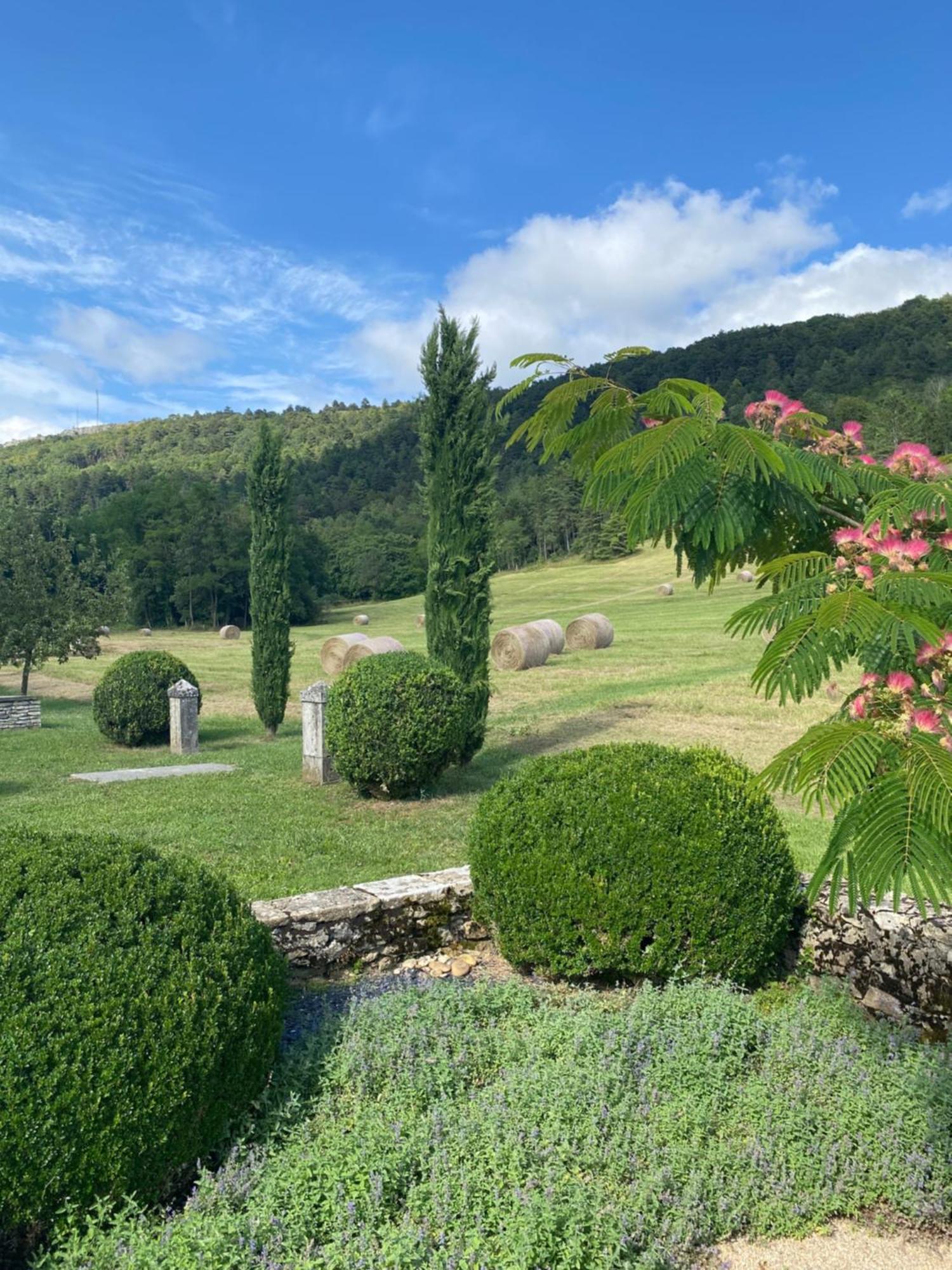 Clos De Mont July, Architecture Xviiie Au Coeur De La Nature Ceyzeriat Exterior photo